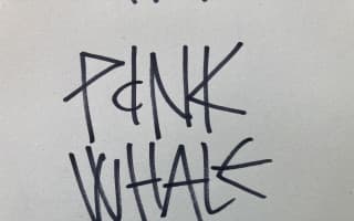 PINK WHALE: Pomôžte nám vybudovať nový stage