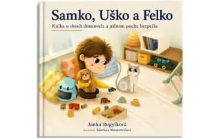 Pomôžme Samkovi priniesť pocit bezpečia deťom, ktoré žijú v dvoch domovoch